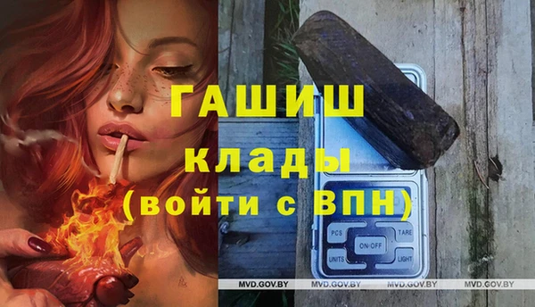 прущие грибы Арсеньев
