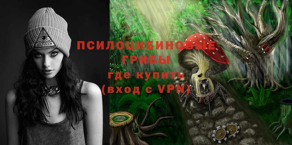 прущие грибы Арсеньев