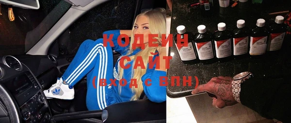 прущие грибы Арсеньев