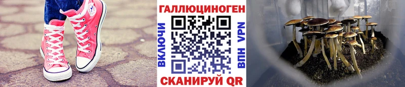 Галлюциногенные грибы MAGIC MUSHROOMS Петушки